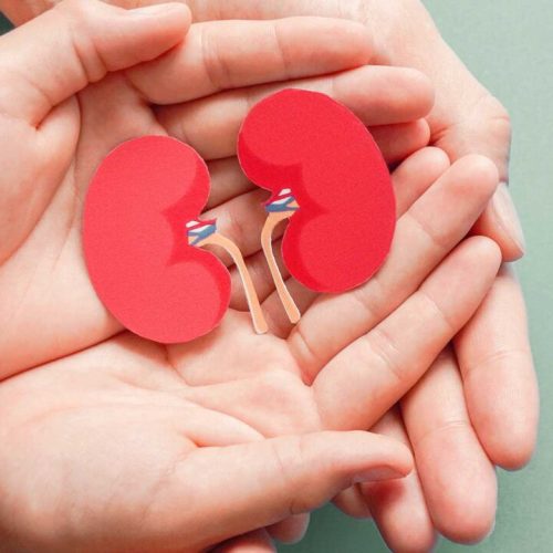 Five simple steps to maintain a healthy kidney